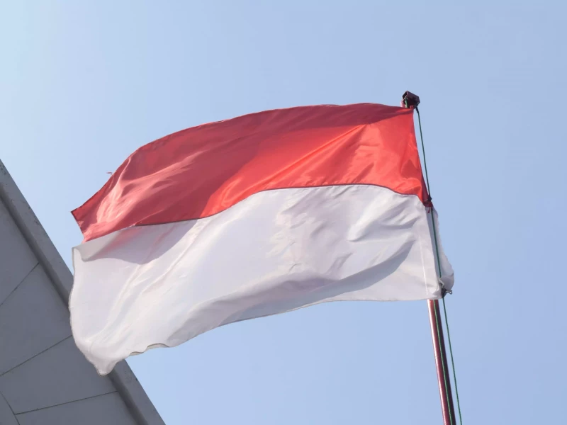 Pemerintah Indonesia