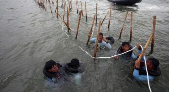 Polri Selidiki Kasus Pagar Laut Tangerang Besok