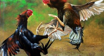 Gerebek Judi Sabung Ayam di Cimenyan, 18 Orang Ditangkap